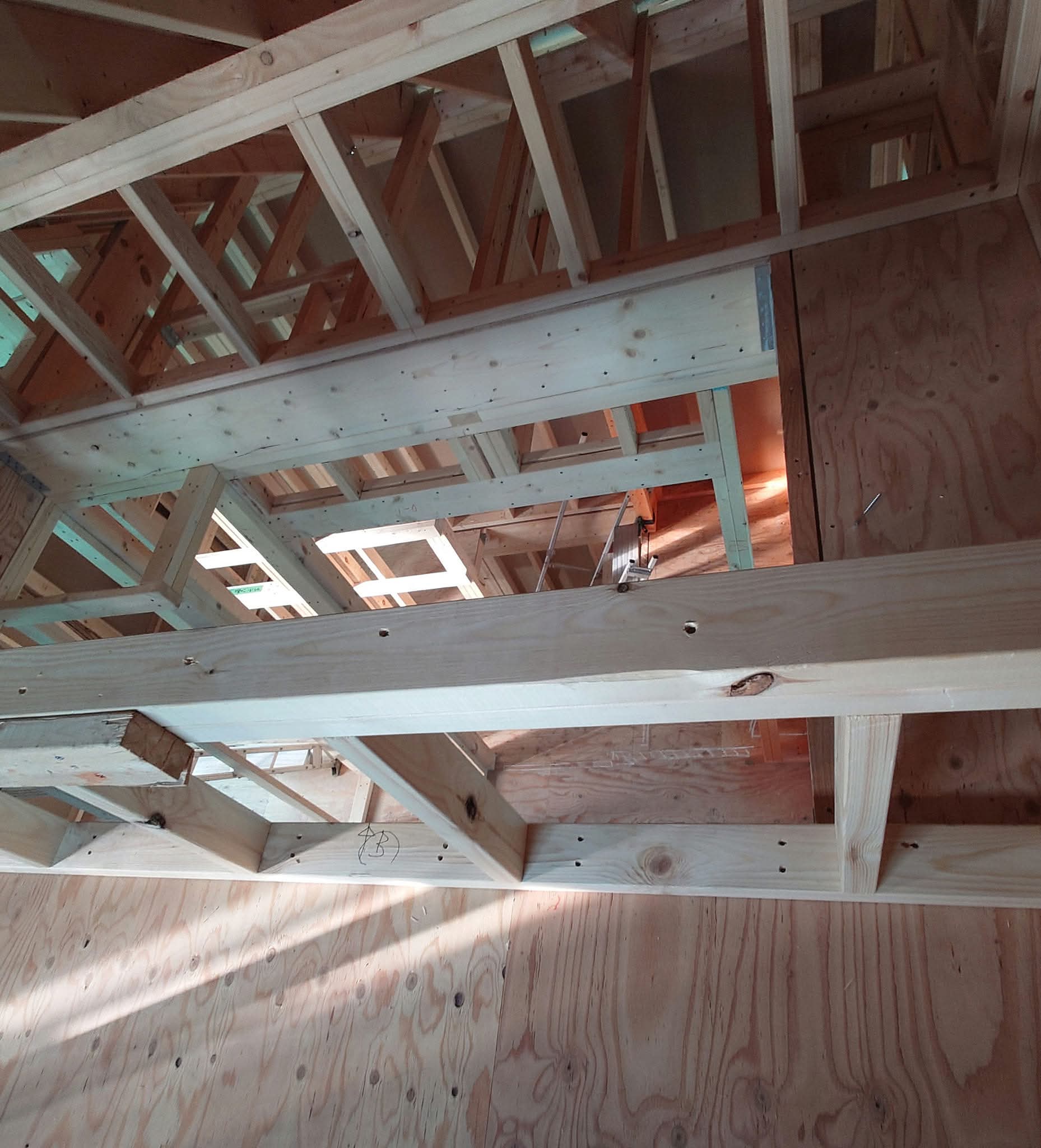 小屋組の様子。垂木と梁が整然と組まれている。2×4工法の「木の家」であることを実感する場面